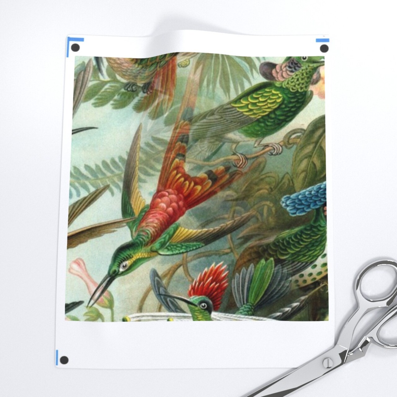 Vintage Hummingbird Wild Birds Botanical Nature Victorian Green Aqua Custom Printed Fabric by Spoonflower Various Fabrics by the Yard or Fat Quarter